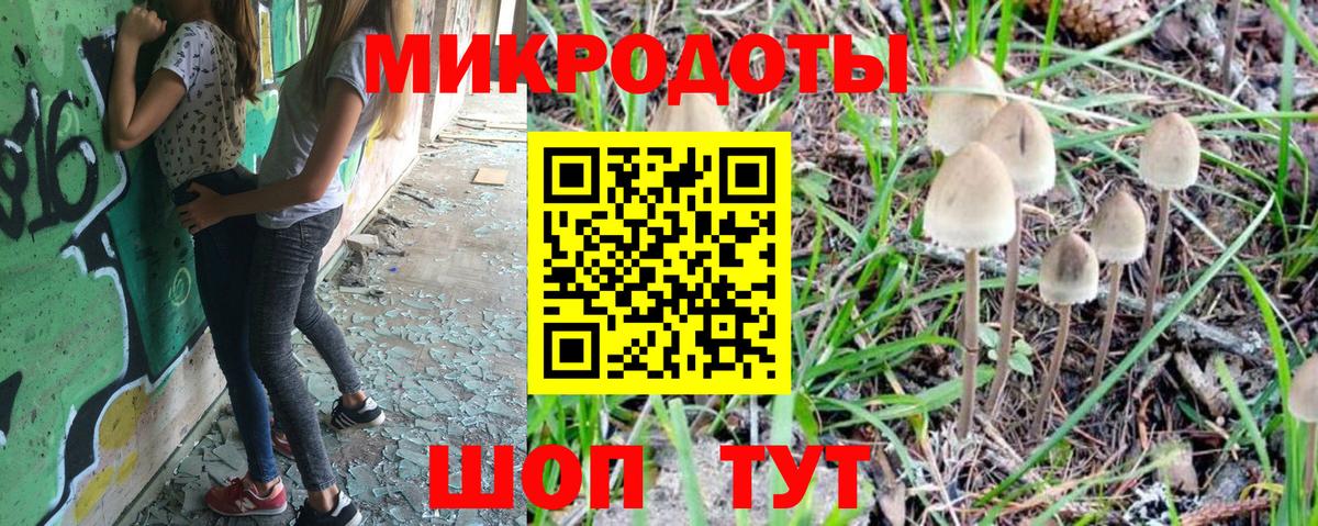 Галлюциногенные грибы Cubensis  Вход с VPN  Ейск  дарнет шоп  Псилоцибиновые грибы GOLDEN TEACHER 